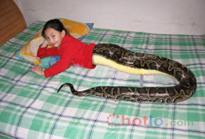cô bé nửa người nửa rắn ở thái lan